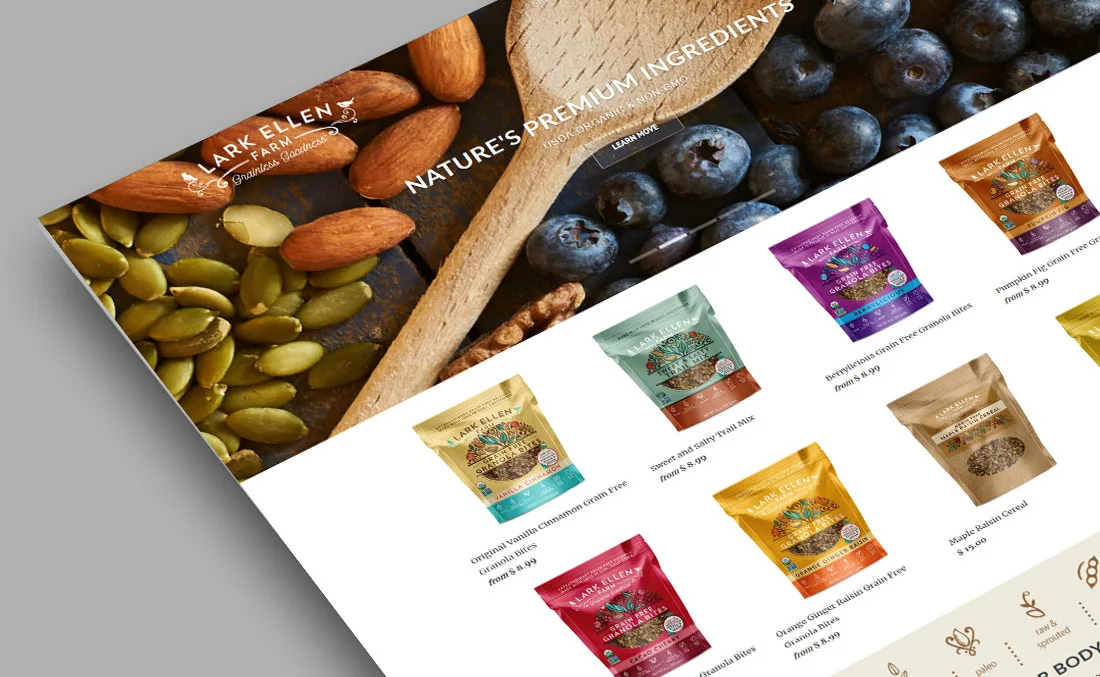 develop-and-design-your-shopify-website - olagee agency